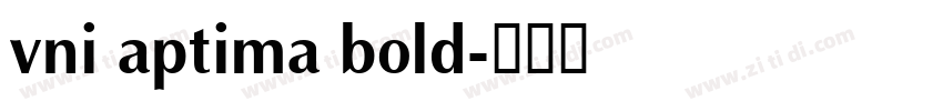 vni aptima bold字体转换